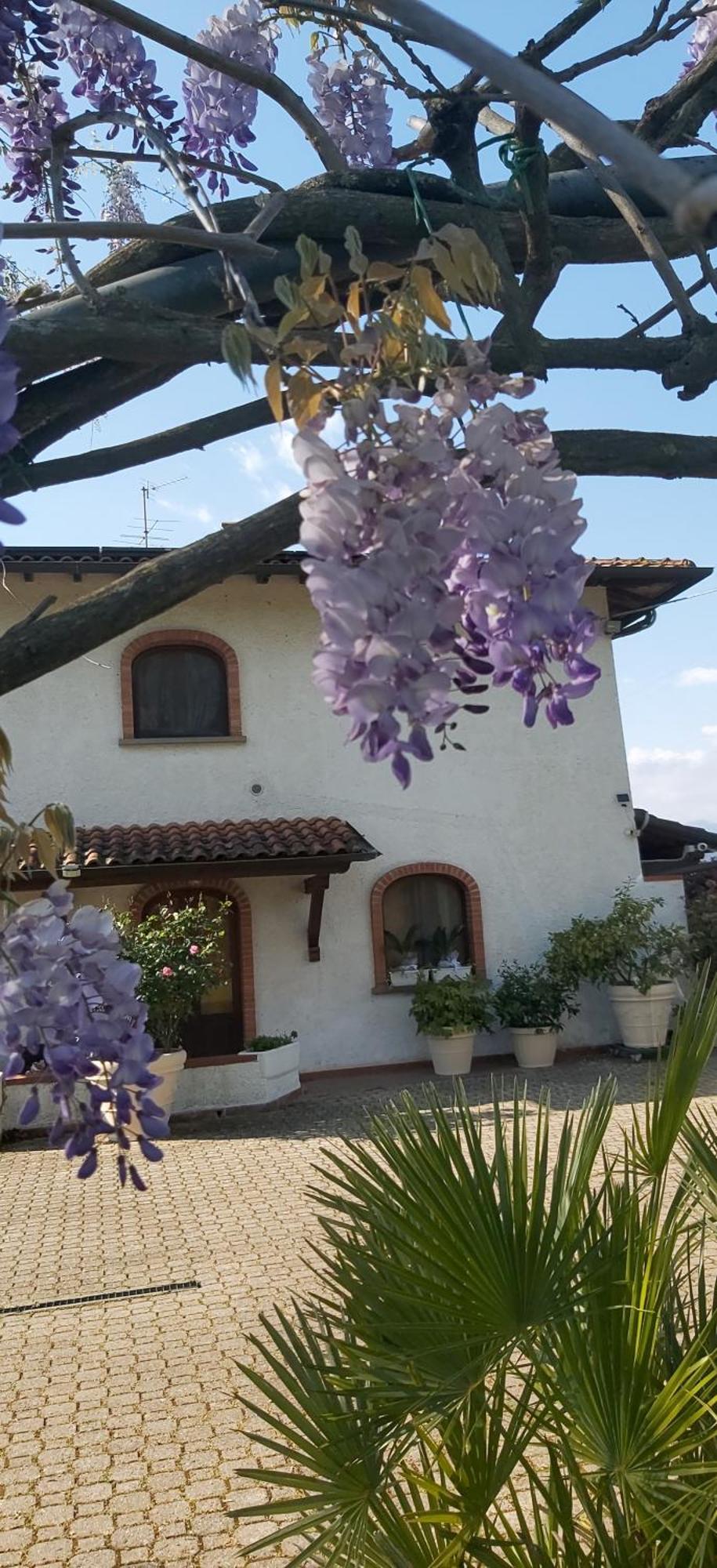 Appartamento Fioccomare Camaiore Esterno foto