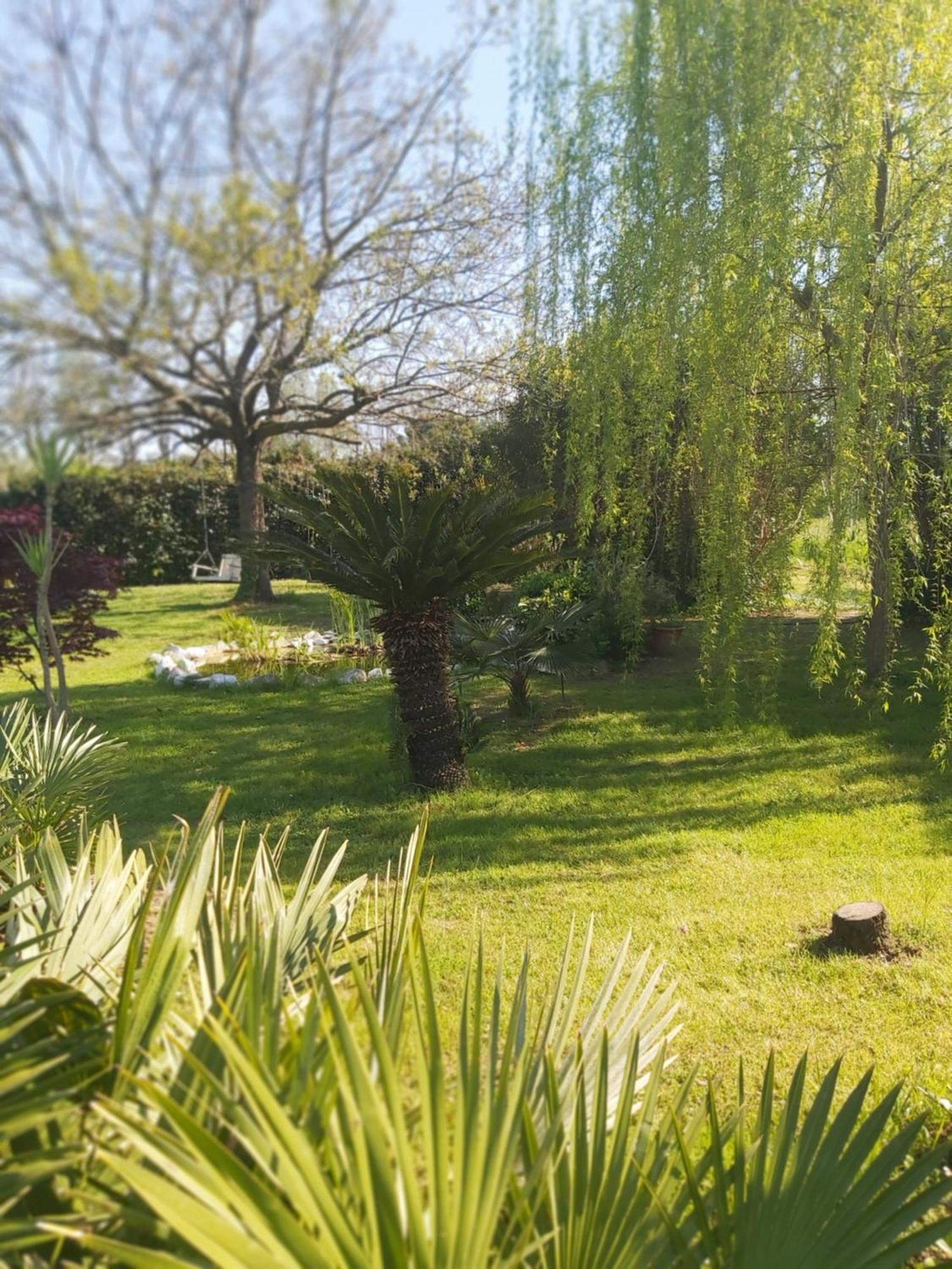 Appartamento Fioccomare Camaiore Esterno foto